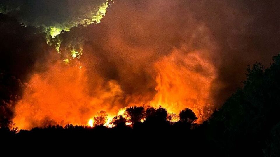 Ters çevrilen mangal ormanı yaktı!