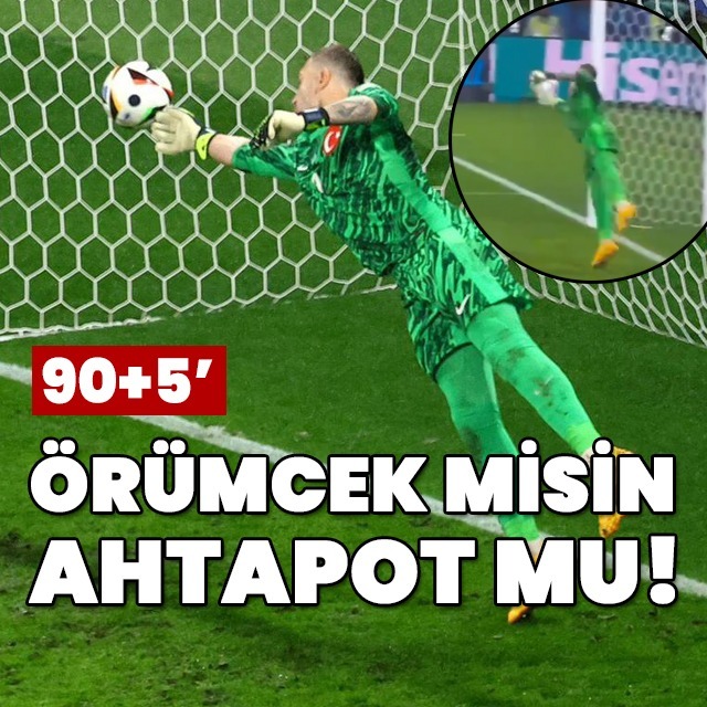 "Ahtopot musun, örümcek misin!"