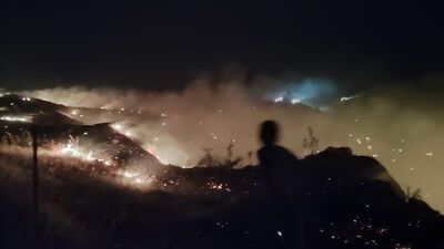 Manisa'da makilik ve tarımsal alanda yangın