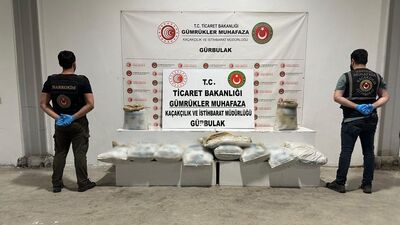 TIR'da 240 kilogram eroin ele geçirildi