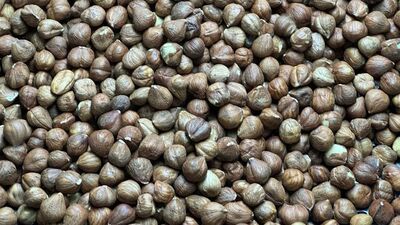 Fındık ihracatından 1,9 milyonu aşkın kâr