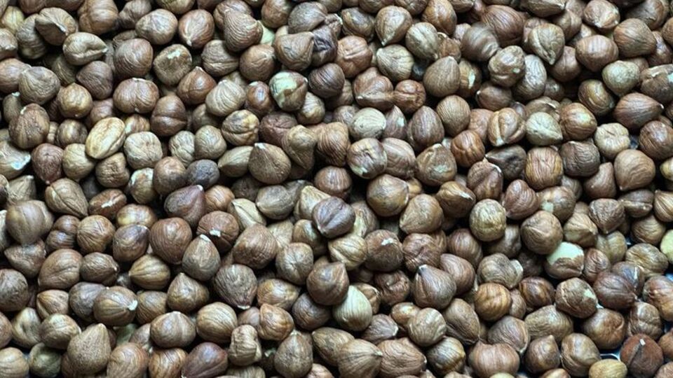 Fındık ihracatından 1,9 milyonu aşkın kâr