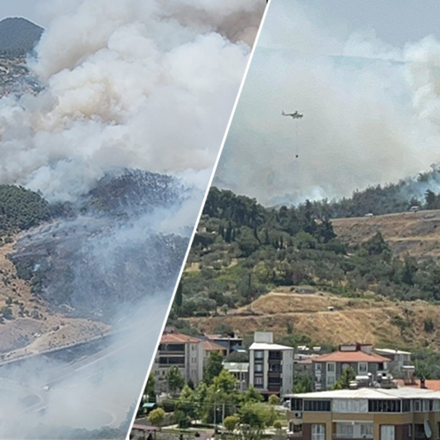 Manisa, İzmir, Balıkesir ve Kahramanmaraş'ta orman yangını