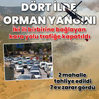 Manisa, İzmir, Balıkesir ve Kahramanmaraş'ta orman yangını