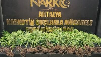 Antalya'da uyuşturucu operasyonu: 89 gözaltı