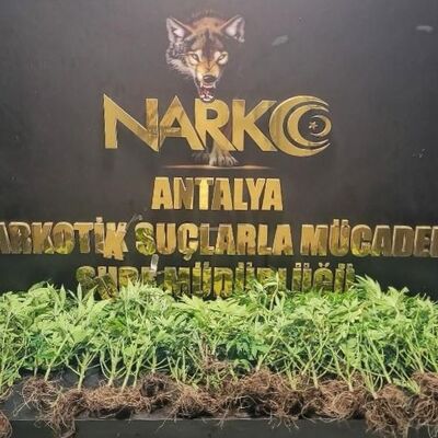 Antalya'da uyuşturucu operasyonu: 89 gözaltı