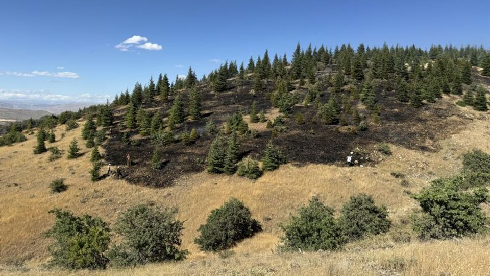 Elazığ'da ormanlık alanlara girişler yasaklandı