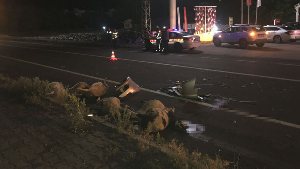 Otomobil sürüye daldı! Sürü sahibi ile 6 koyun öldü