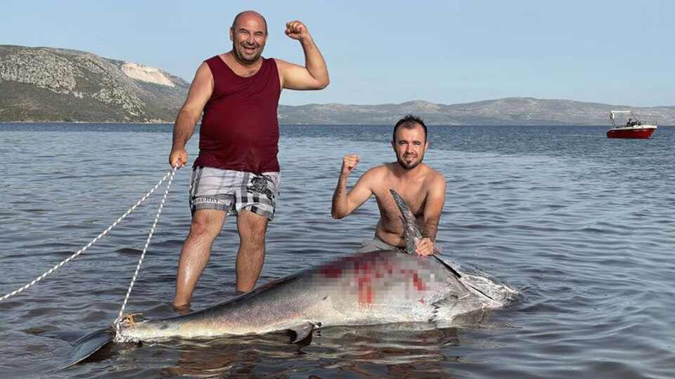 Plajda çakı ve zıpkınla orkinos avı!