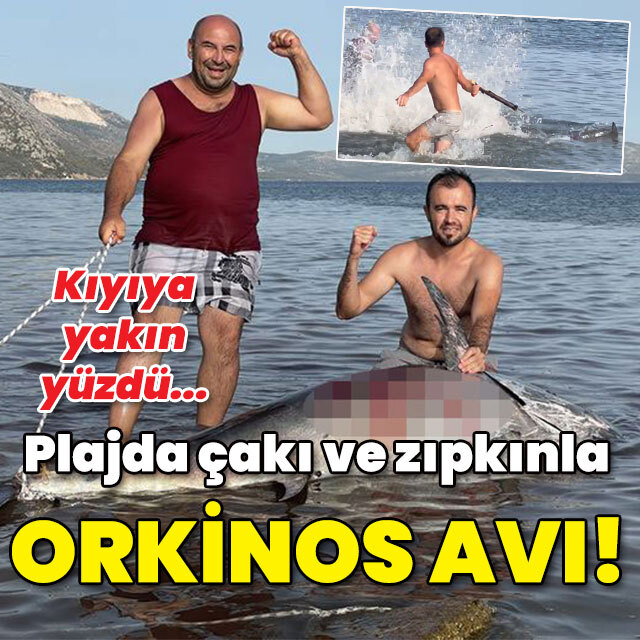Plajda çakı ve zıpkınla orkinos avı!
