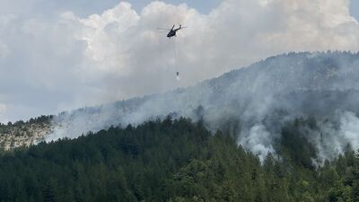 Türkiye'de orman yangınları!