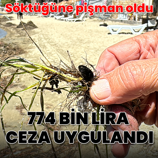 Söktüğüne pişman oldu: 774 bin lira ceza uygulandı