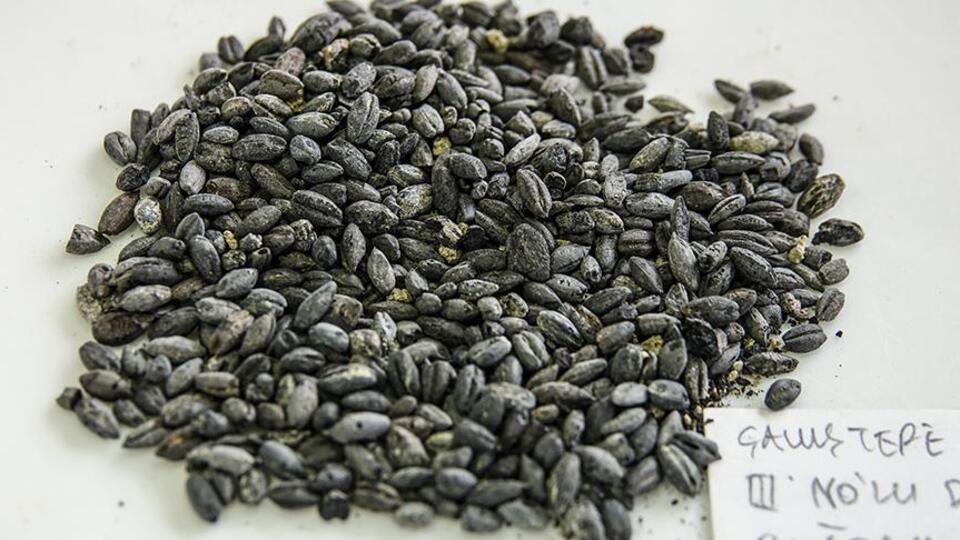 Chia tohumu nasıl yenir, tüketilir?