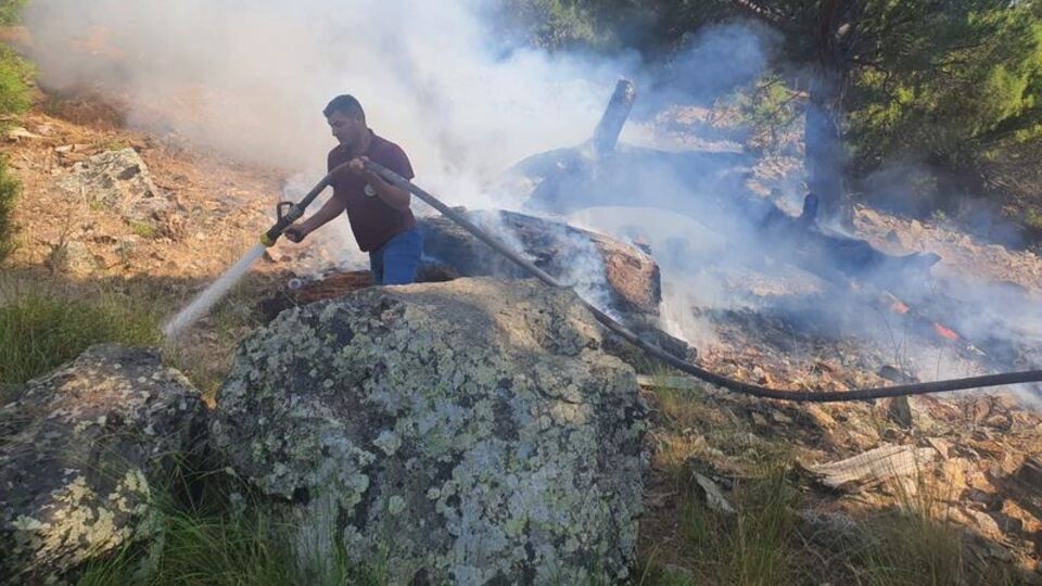 Burhaniye ve Bigadiç'te orman yangını