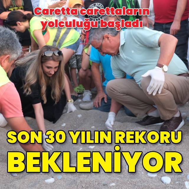 Caretta carettaların yolculuğu başladı