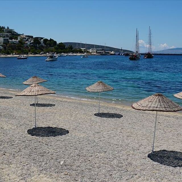 Ege ne hal