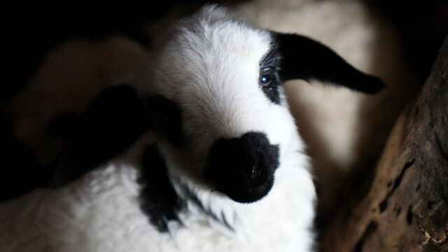 Bir mezar, &uuml;&ccedil; hik&acirc;ye!