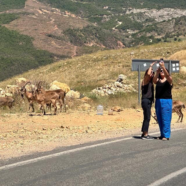 Tunceli'de ölümcül uyarı: Gördüğünüz an uzak durun