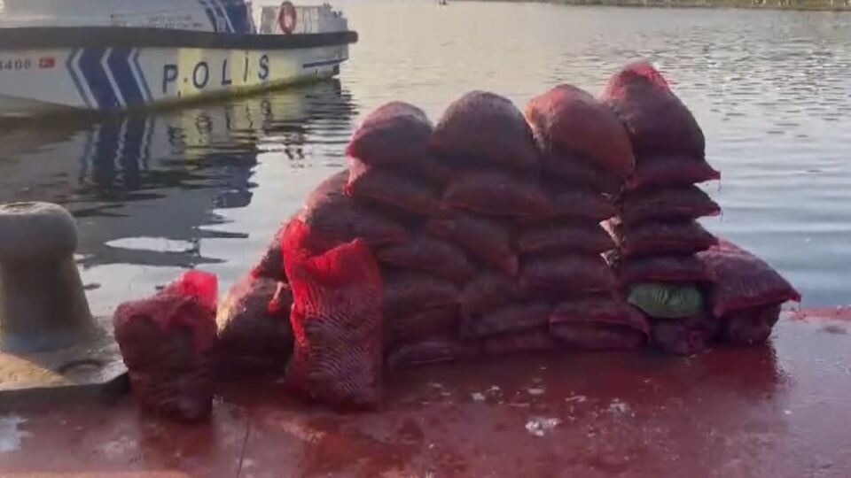 Midye sevenler dikkat! 1 ton ele geçirildi