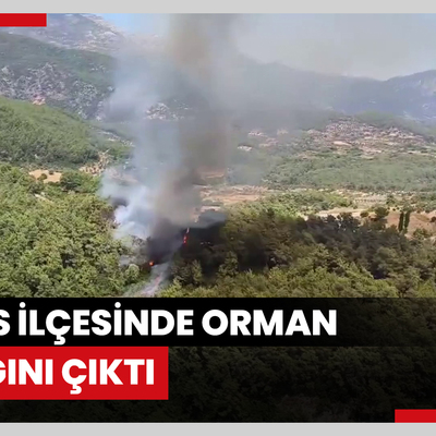 Milas ilçesinde orman yangını çıktı