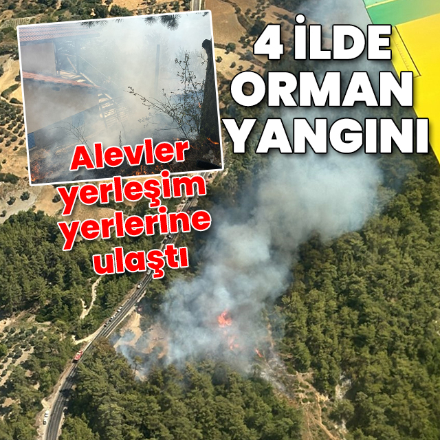 4 ilde orman yangını