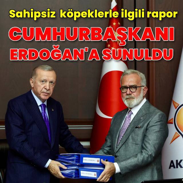 Yenişehirlioğlu sahipsiz köpeklerle ilgili raporu Cumhurbaşkanı Erdoğan'a sundu