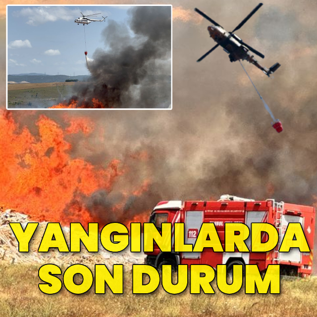 Türkiye'de orman yangınları!