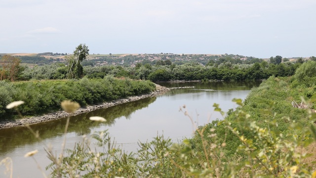 Meriç Nehri'nde temizlik yapılacak