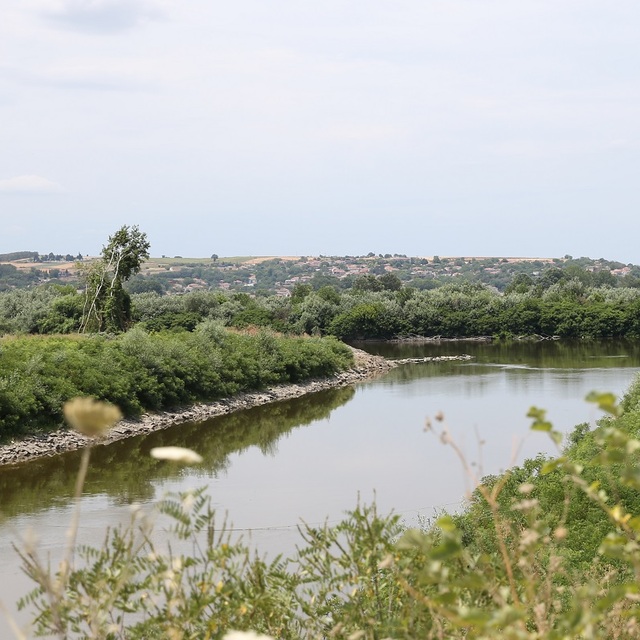 Meriç Nehri'nde temizlik yapılacak