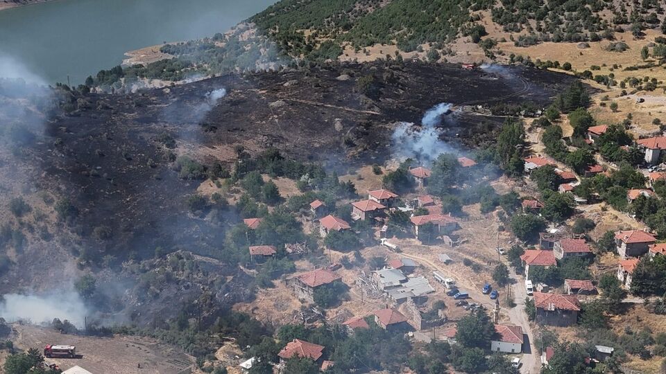 Ankara'daki yangında 10 hektar alan zarar gördü