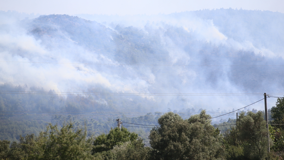 Bodrum'da büyük yangın