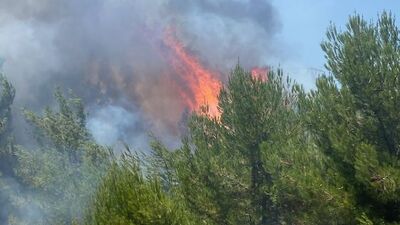 Türkiye'de orman yangınları!