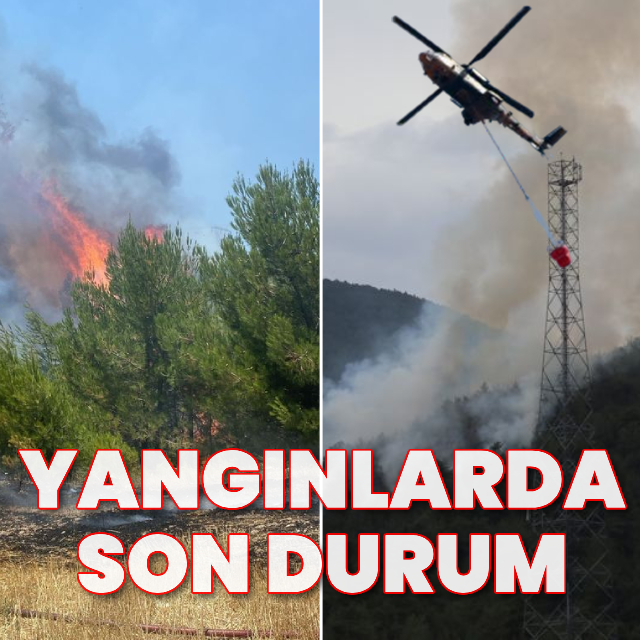 Türkiye'de orman yangınları!