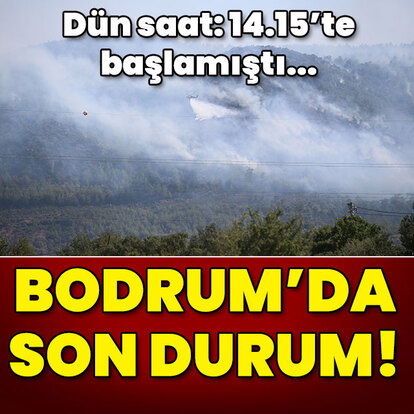 Bodrum'daki orman yangınında son durum!