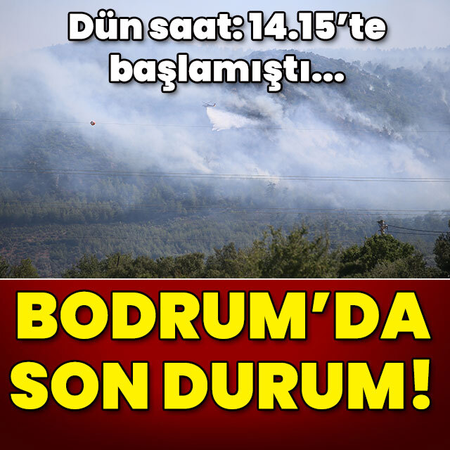 Bodrum'daki orman yangınında son durum!