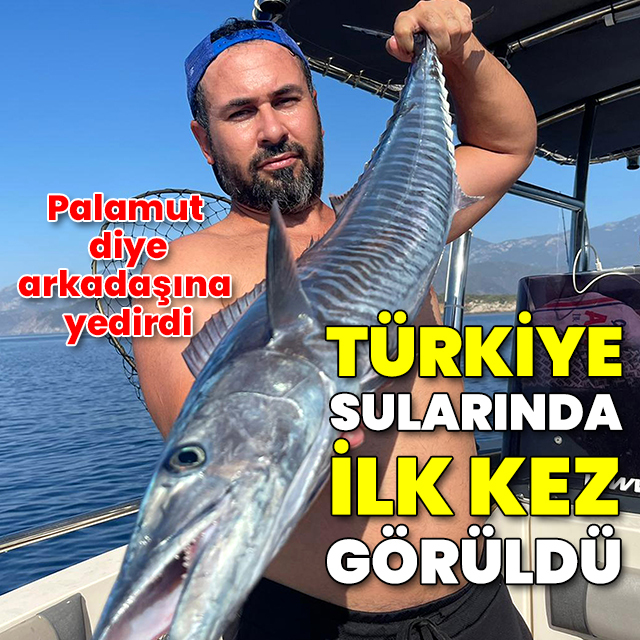 Türkiye sularında ilk kez görüldü: Sahte yemli oltaya takıldı