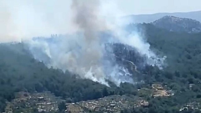 Dün Bodrum bugün İzmir ve Adana: İki ilde orman yangını