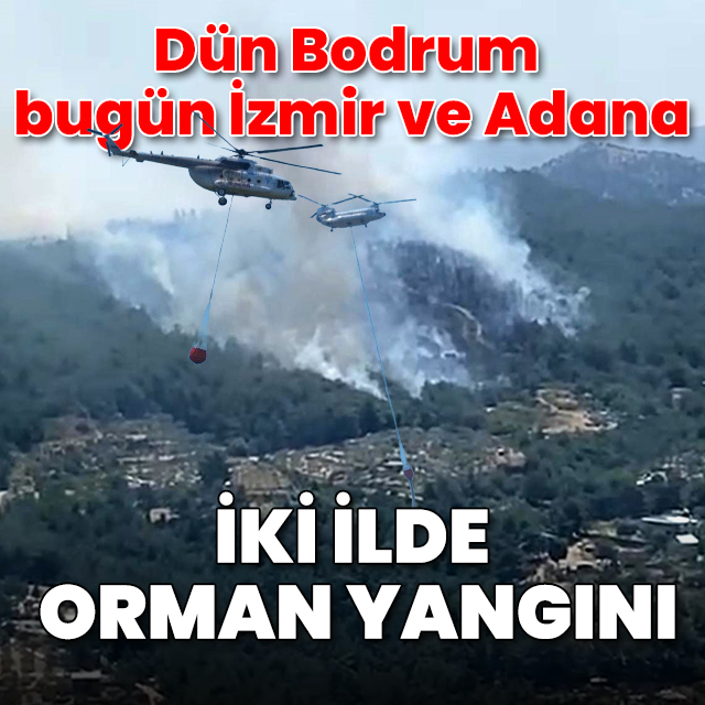 Dün Bodrum bugün İzmir ve Adana: İki ilde orman yangını
