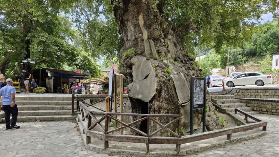 Dev cüssesiyle ilgi uyandırıyor... 3 bin yıllık!