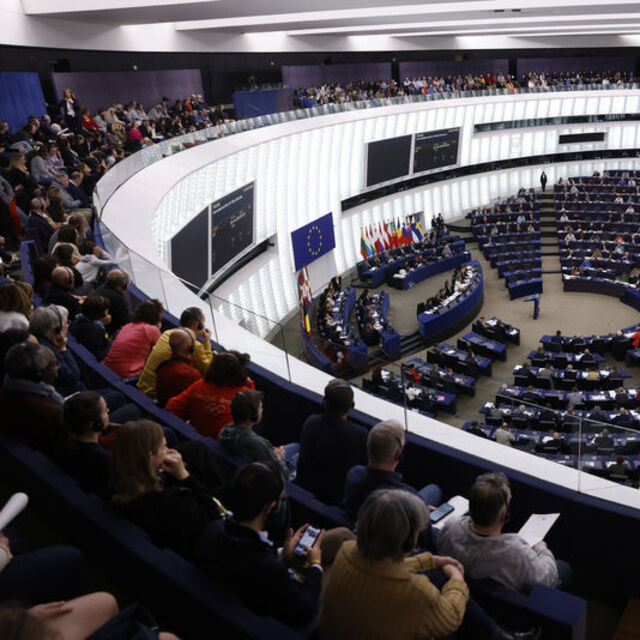 AfD, Avrupa Parlamentosu'nda grup kurdu