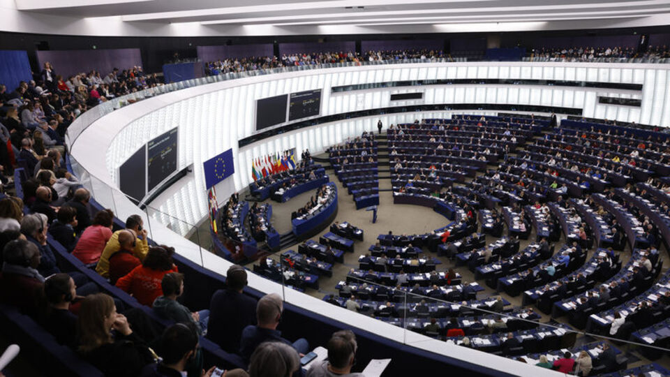 AfD, Avrupa Parlamentosu'nda grup kurdu