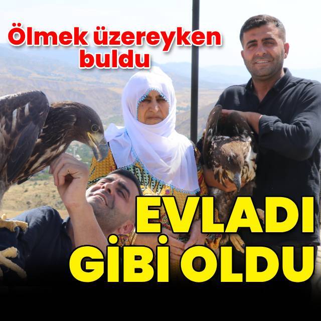 Ölmek üzereyken buldu... Evladı gibi oldu!