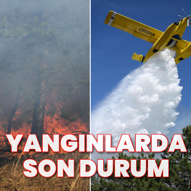 Türkiye'de orman yangınları!