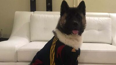 Haki'yi öldürdü! Para cezası aldı