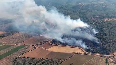 Türkiye'de orman yangınları!