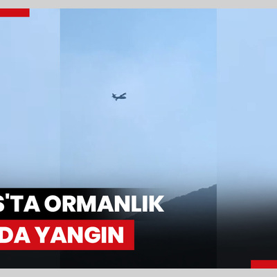 Milas'ta ormanlık alanda yangın