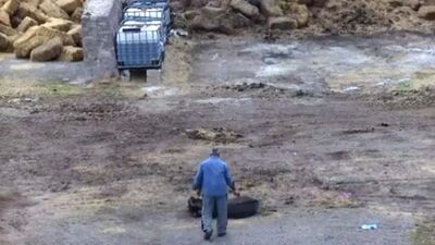 İntikam için 5 atı zehirledi bir eşeği kesti