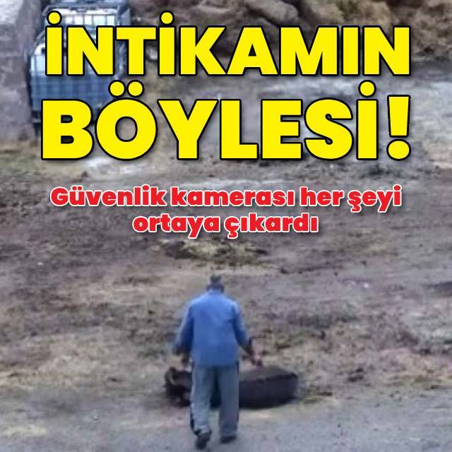 İntikam için 5 atı zehirledi bir eşeği kesti