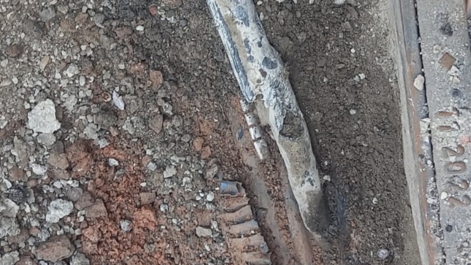 İzmir'deki elektrik akımı faciası: Bilirkişi ön raporunda ihmaller zinciri