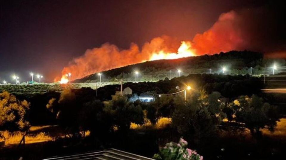 Urla'da orman yangını